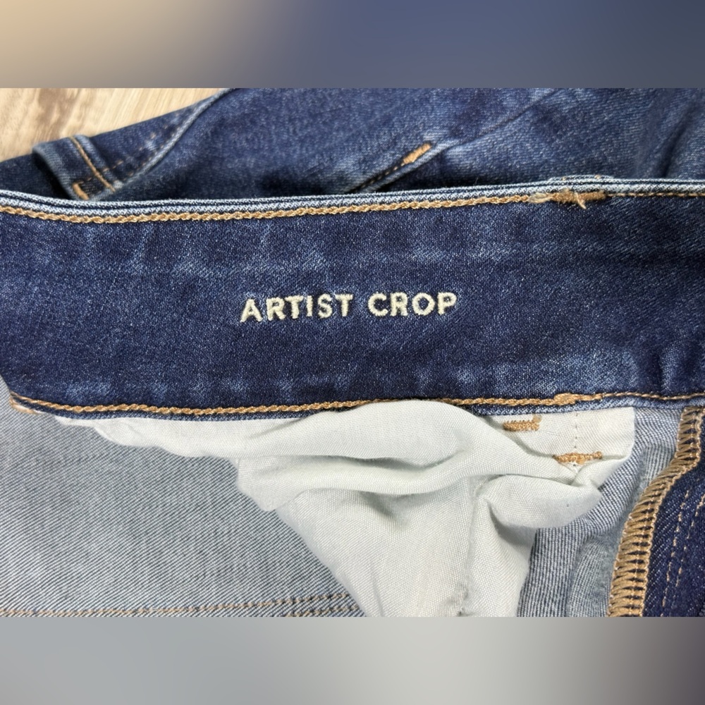 American Eagle artist crop - Picture 10 of 11